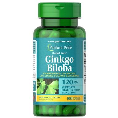 Puritan's Pride Ginkgo Biloba Standard Extract 120mg Capsule 100s