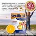 Vitabiotics Wellkid Multivitamin Smart Chewable Tablets 30s