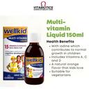 Vitabiotics Wellkid Multivitamin Liquid150ml