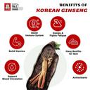 CheongKwanJang 6 Year Grown Korean Red Ginseng Concentrated Liquid Extract For Men & Women 50g