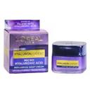 Loreal Paris Hyaluron Expert Night Cream Mask 50ml