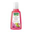 Rausch Mallow Shampoo 200Ml