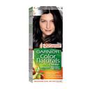 Garnier Color Naturals Cream Hair Color 1 Black