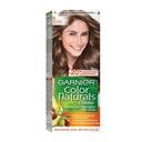 Garnier Color Naturals Cream Hair Color 6 Dark Blonde