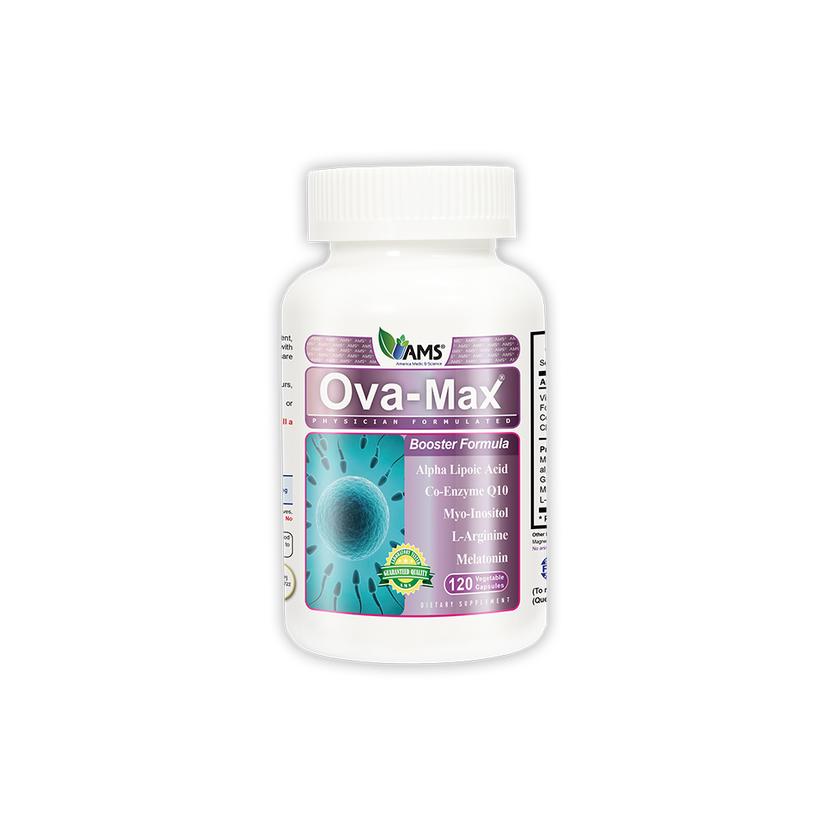 Main Product