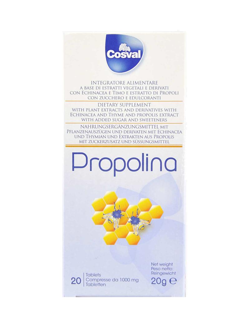 Main Product