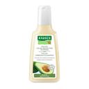 Rausch Avocado Color- Protecting Shampoo 200 Ml