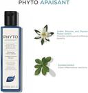 Phyto apaisant Soothing Treatment Shampoo 250ml