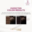 Loreal Excellence 3.0 Hair Color