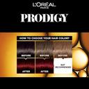 Loreal Paris Prodigy Permanent Oil Hair Color 4.6 Deep Red