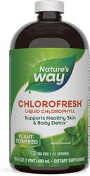Nature's Way Chlorofresh Mint Liquid 480ml