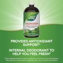 Nature's Way Chlorofresh Mint Liquid 480ml