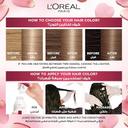 Loreal Paris Excellence 8.1 Light Ash Blonde