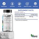 Ams Charconut 260mg Veg Capsule 100s