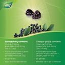 Nature's Way Sambucus Gummies 60s