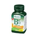 Adrien Gagnon B6 12 & Folic Acid Tablet 30s