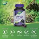 Nature's Way Sambucus Gummies 60s
