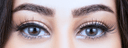 COLEN AMLEER GRAY CONTACT LENS