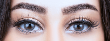 Colen Amleer Gray Contact Lens
