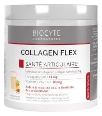 Biocyte Collagen Flex Powder 240g