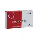 Magnox Vital Capsule 30S