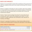 Quest Immune C Tablet 30s